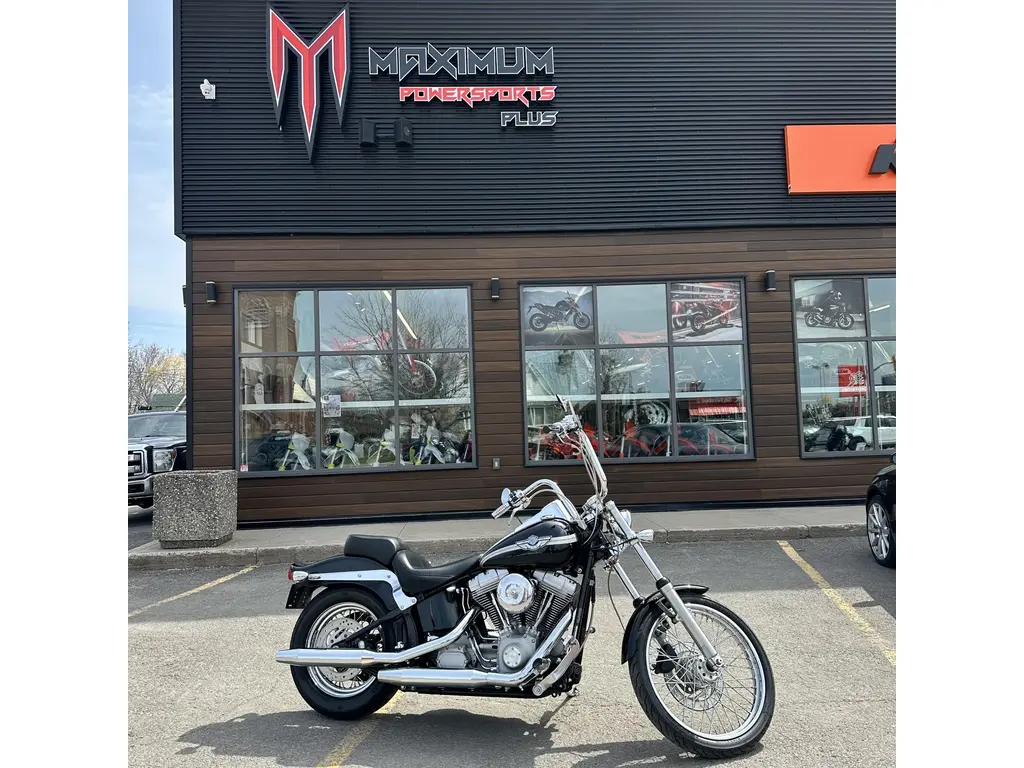 2003 Harley-Davidson FXSTI-SOFTAIL STAND. (F.I.) - 100TH ANNIVERSARY