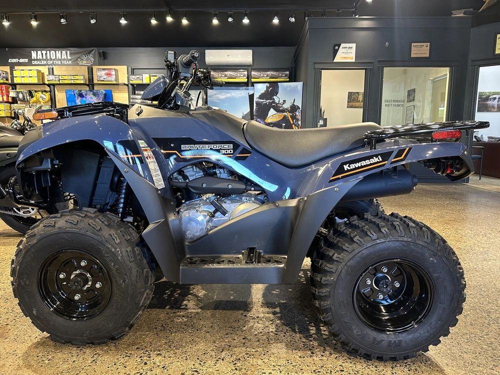 2025 Kawasaki Brute Force 300 alt