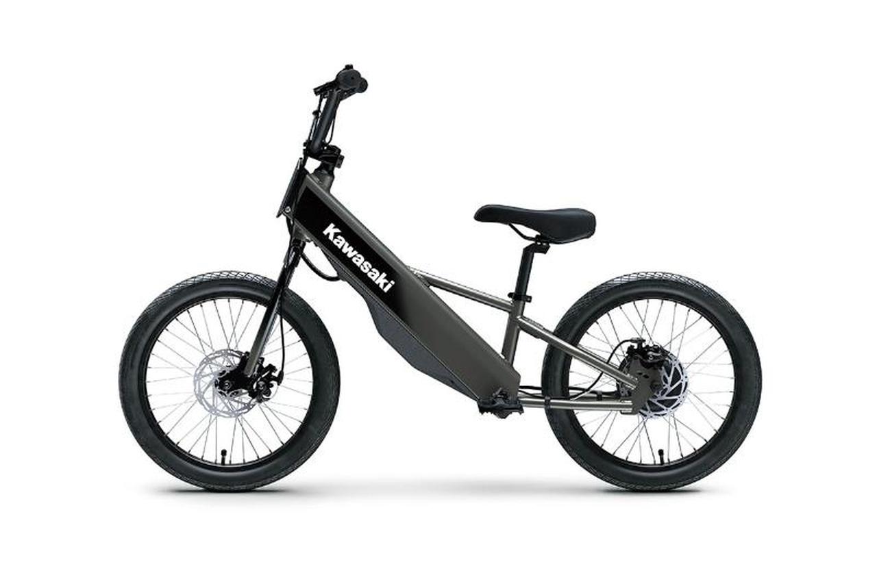 2025 Kawasaki Elektrode 20FS