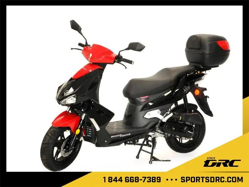 SCOOTTERRE Rebel 50 2023