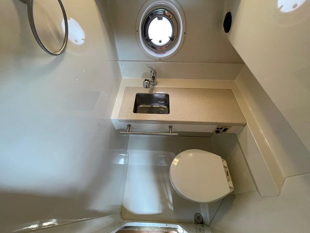 Sea Ray 310 Sundancer 2010 alt