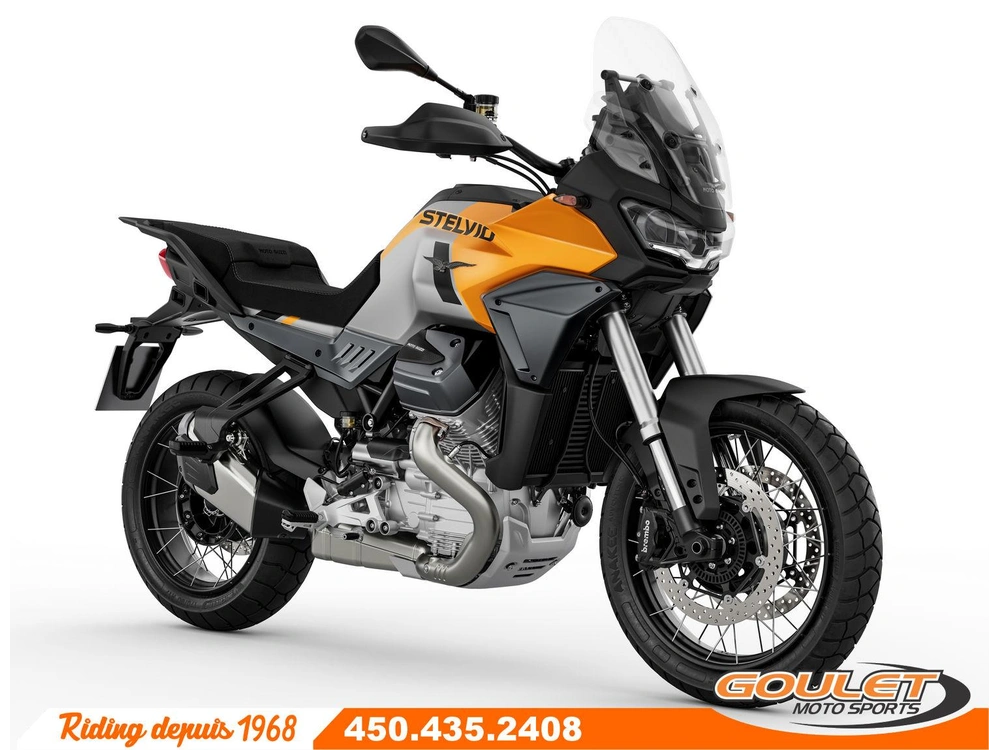 2024 Moto Guzzi Stelvio Giallo Savana alt