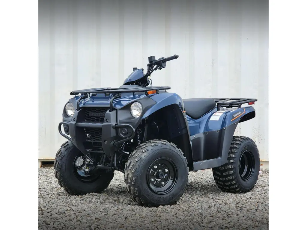 2025 Kawasaki Brute Force 300