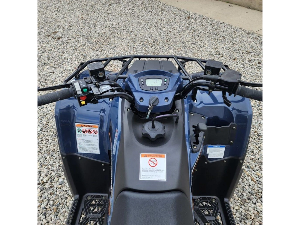 2025 Kawasaki Brute Force 300 alt