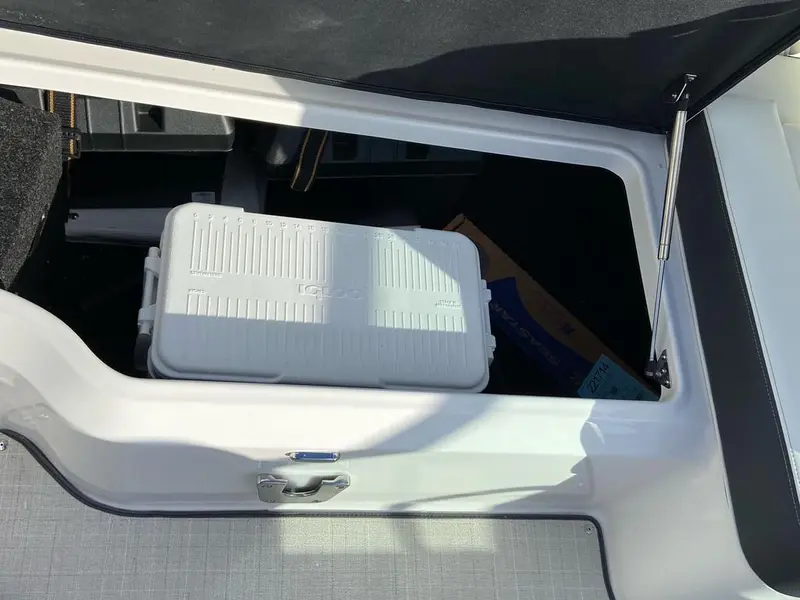 Regal LX2 2021