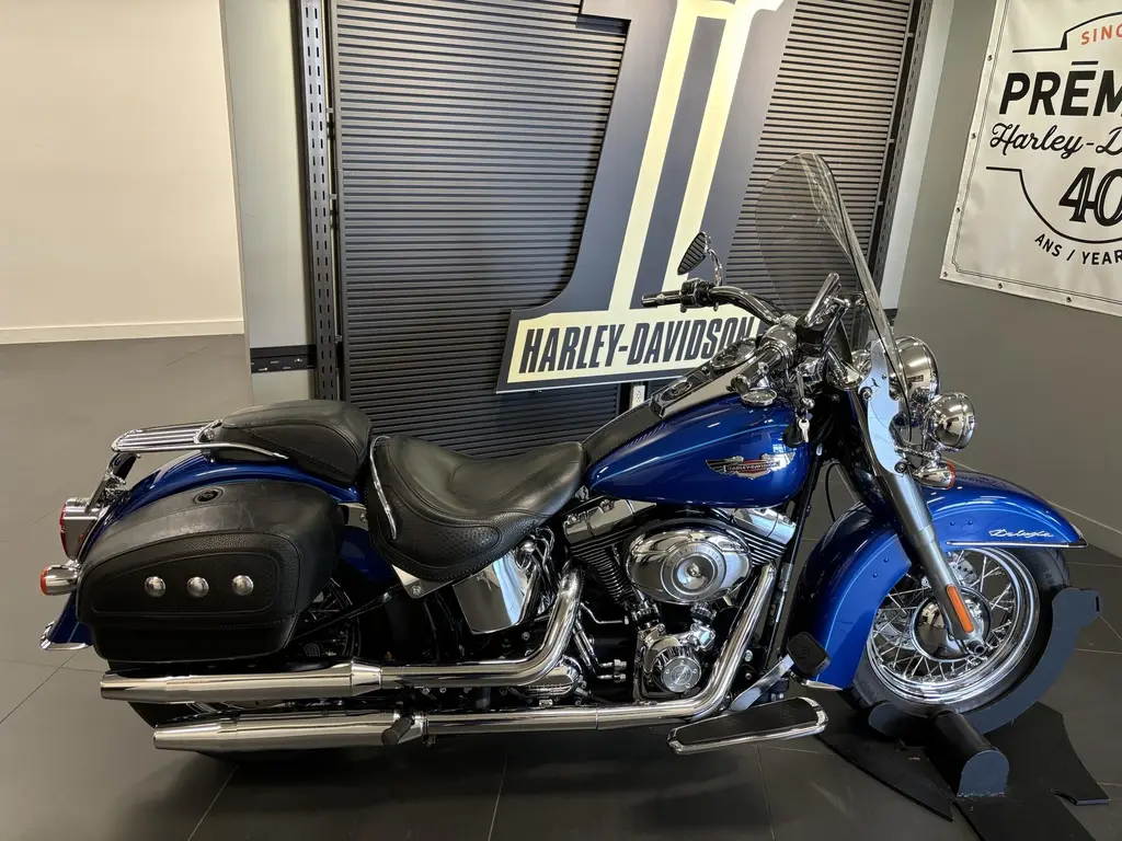 2009 Harley-Davidson FLSTN SOFTAIL DELUXE FLSTN