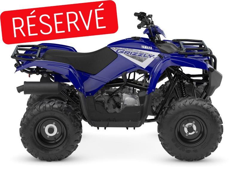 2025 Yamaha Grizzly 110