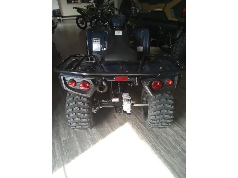 2025 Kawasaki BRUTE FORCE 300