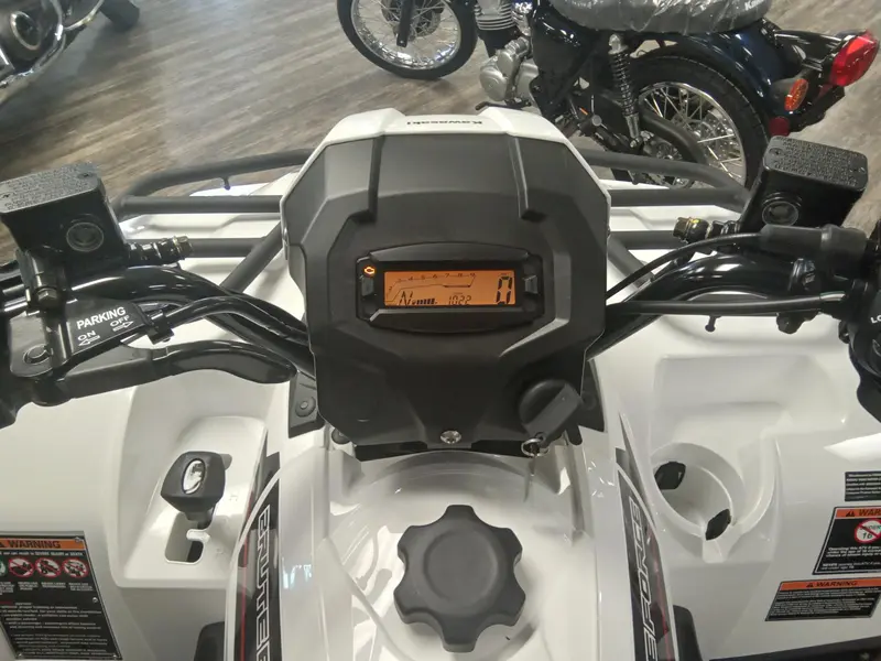 2025 Kawasaki BRUTE FORCE 450