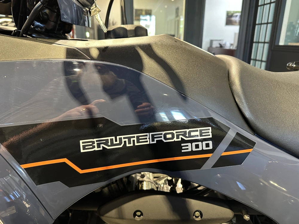 2025 Kawasaki Brute Force 300 alt