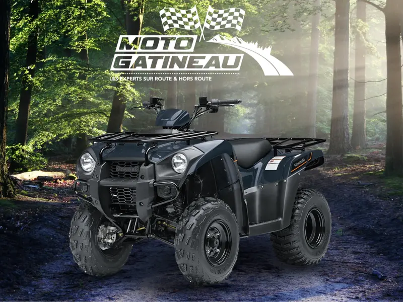 2025 Kawasaki Brute Force 300