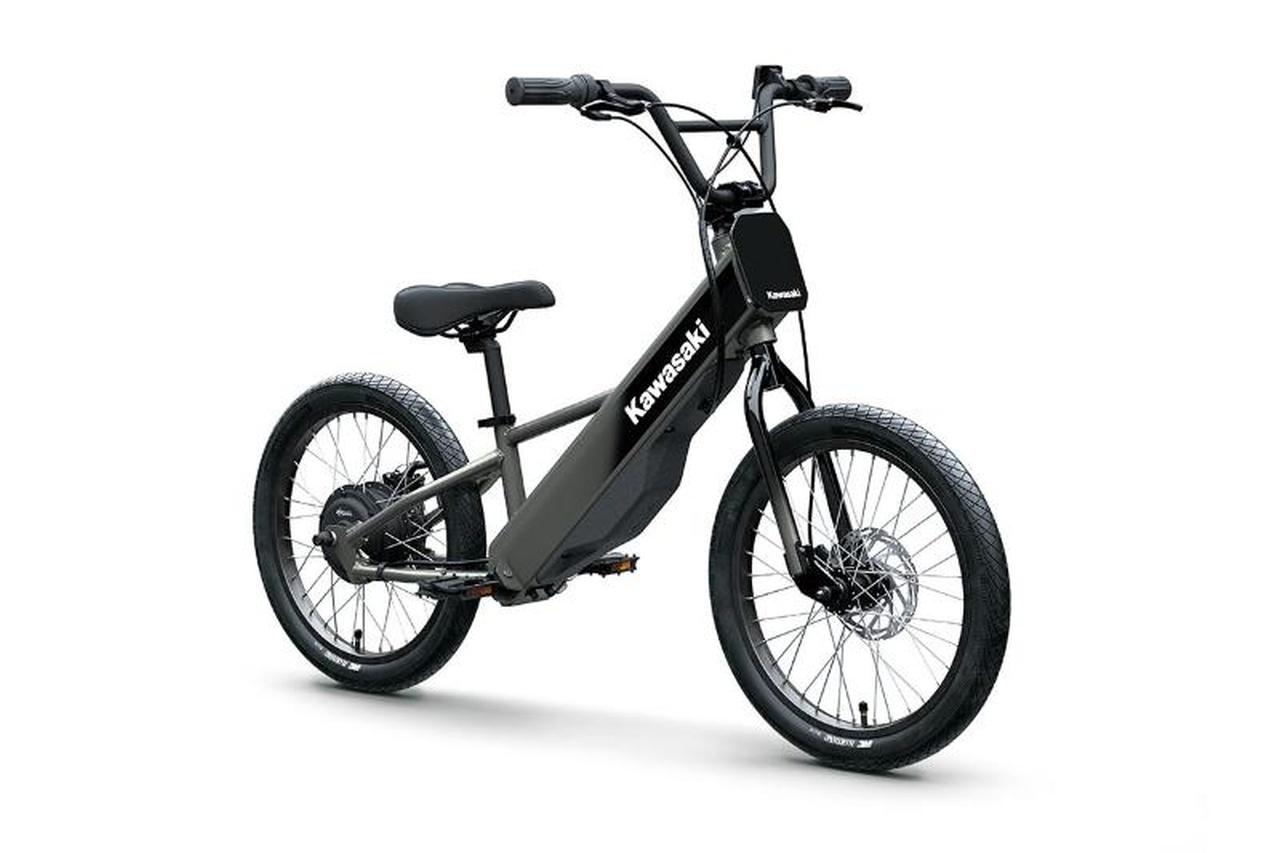 2025 Kawasaki Elektrode 20FS