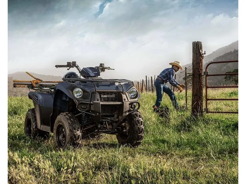 2025 Kawasaki Brute Force 300