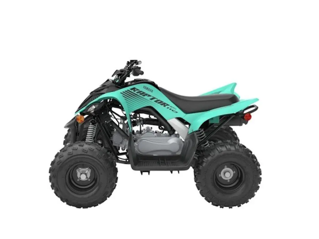 2025 Yamaha Raptor 110 