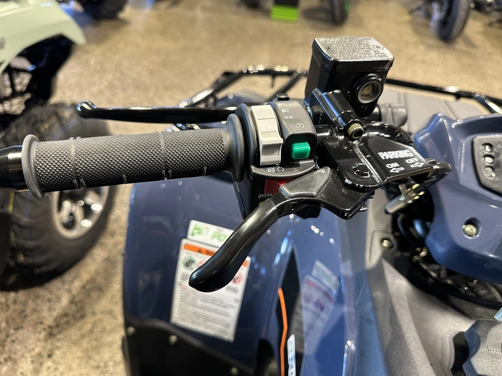 2025 Kawasaki Brute Force 300 alt