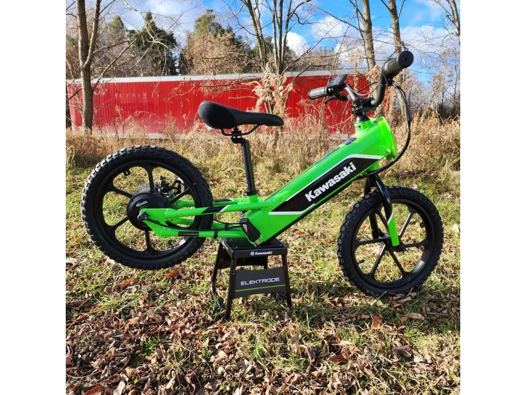2024 Kawasaki Elektrode