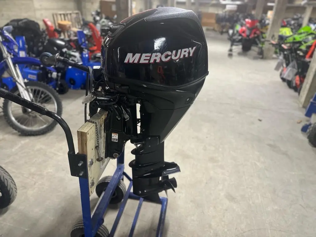 2009 Mercury F25 ELPT