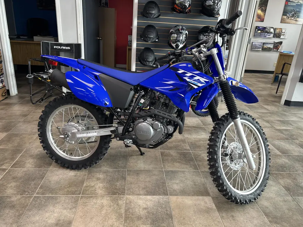 2025 Yamaha TT-R 230 