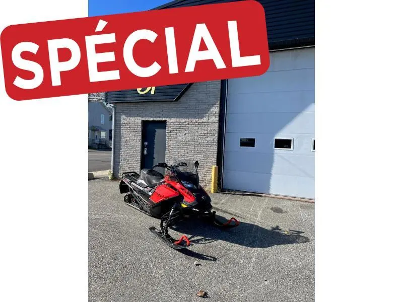 2020 Ski-Doo RENEGADE ENDURO 850 E-TEC 137 