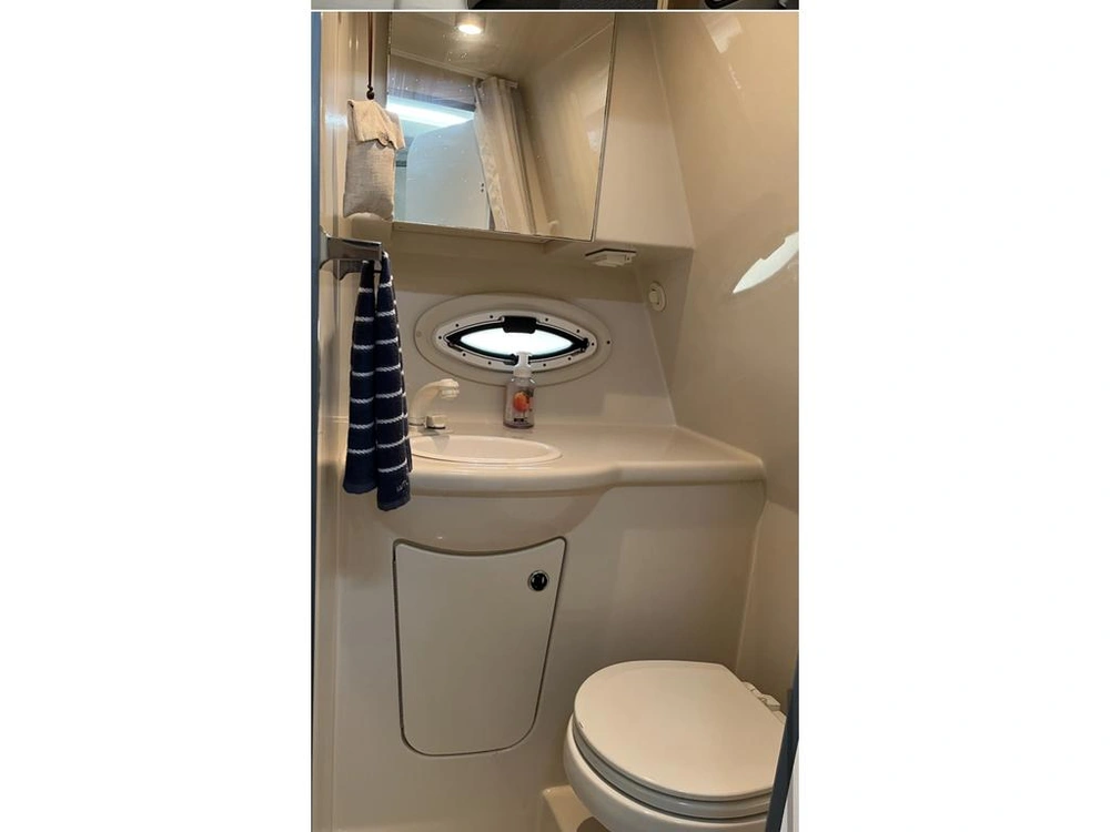 2011 Bayliner 315 Sb alt