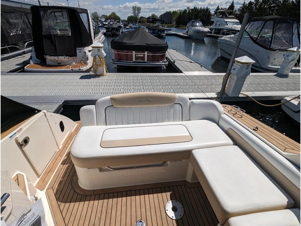Sea Ray 310 Sundancer 2010 alt
