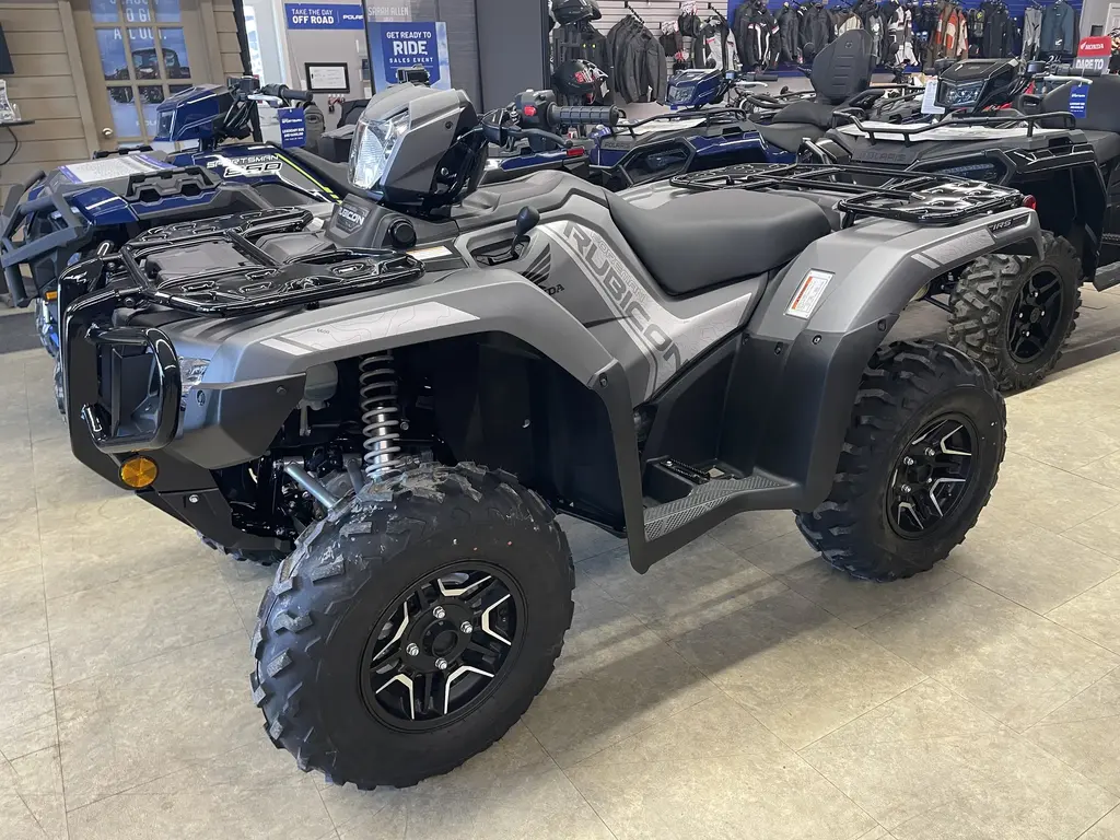 Honda 2025 Honda RUBICON DCT IRS EPS DELUXE - Gray 2025