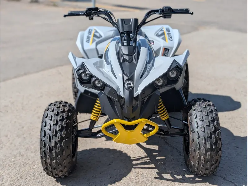 2025 Can-Am Renegade 110 EFI