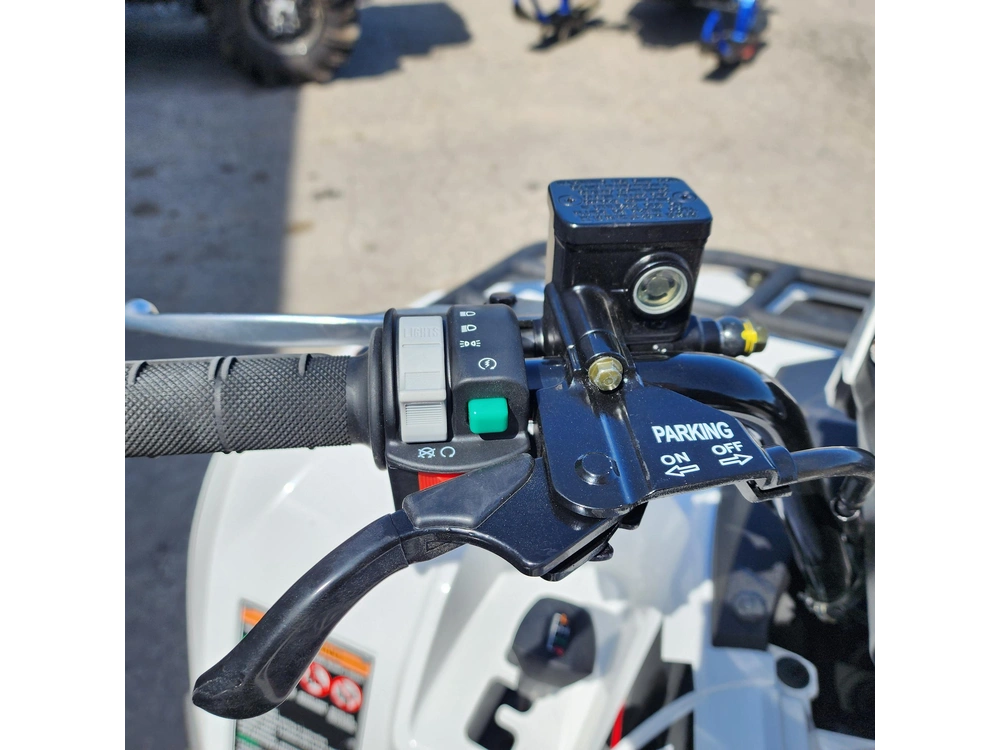 2025 Kawasaki Brute Force 450 alt