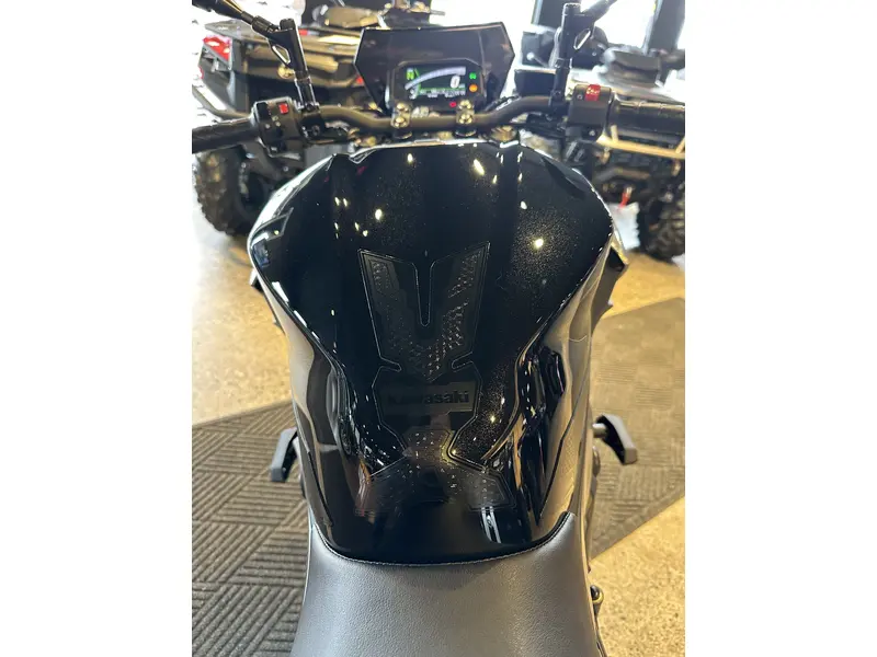2025 Kawasaki Z 500 SE