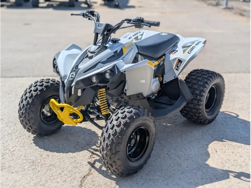 2025 Can-Am Renegade 110 EFI