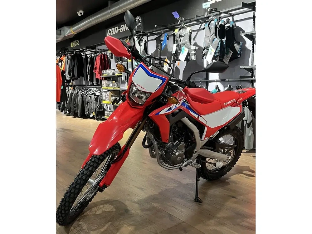 2024 Honda Crf300lr alt