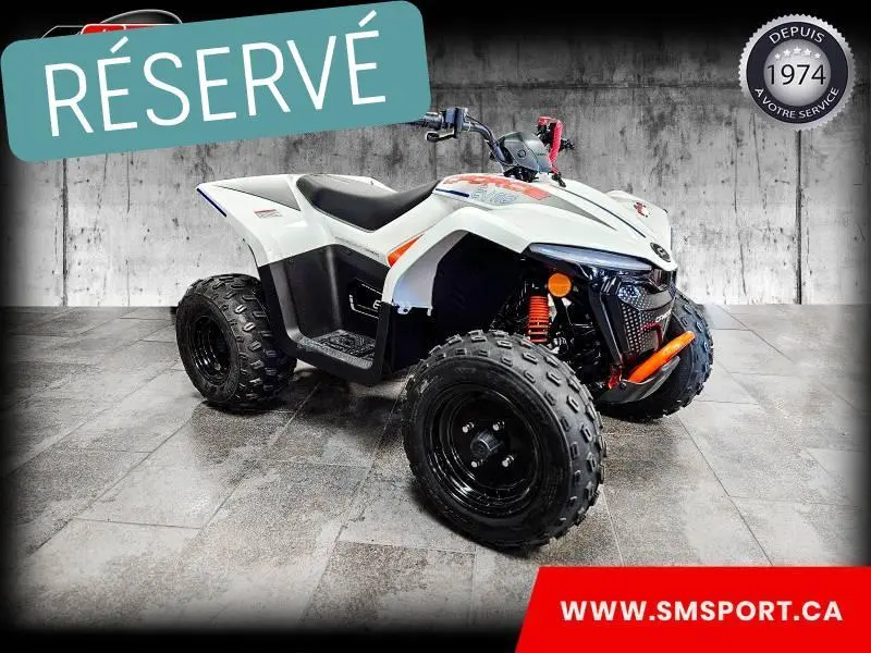 2024 CFMOTO CFORCE EV110