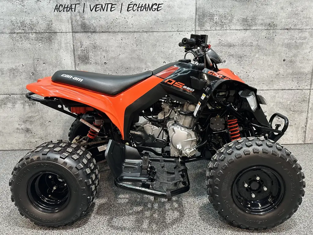 Can-Am DS 250 / DS250 2021