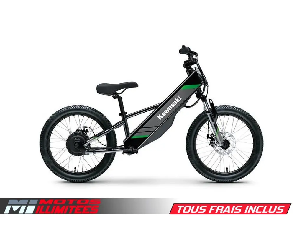 2025 Kawasaki Elektrode 20