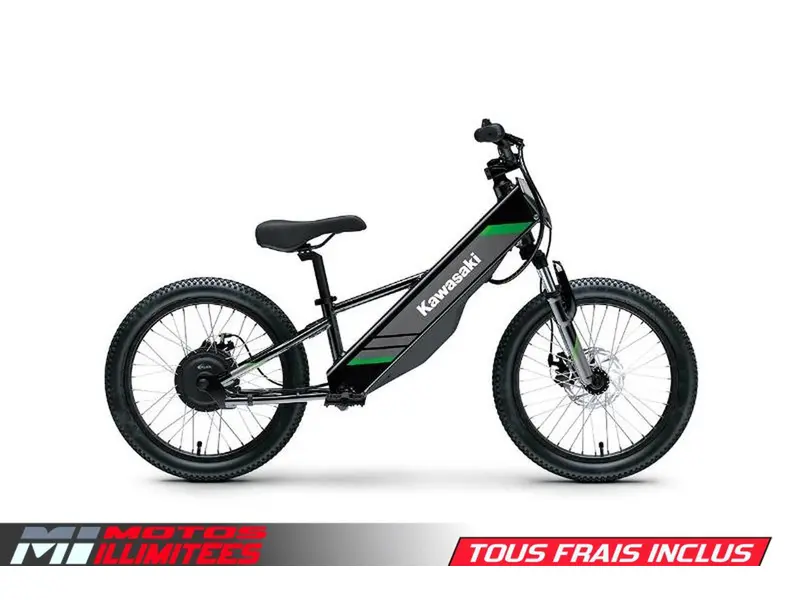 2025 Kawasaki Elektrode 20