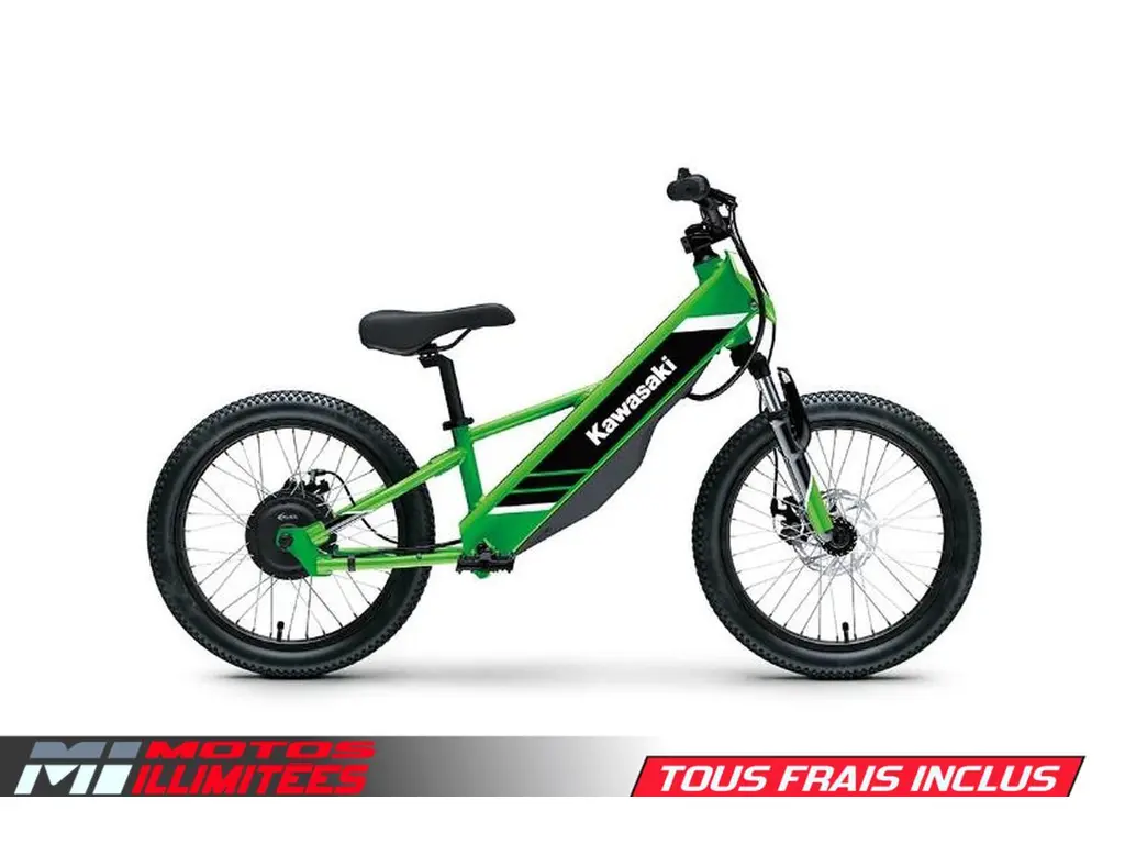 2025 Kawasaki ELEKTRODE 20