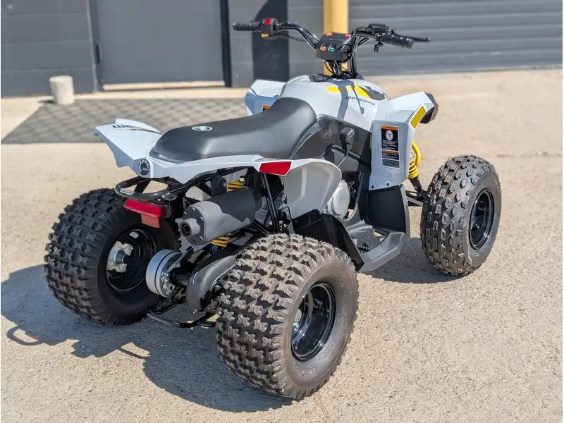 2025 Can-Am Renegade 110 EFI