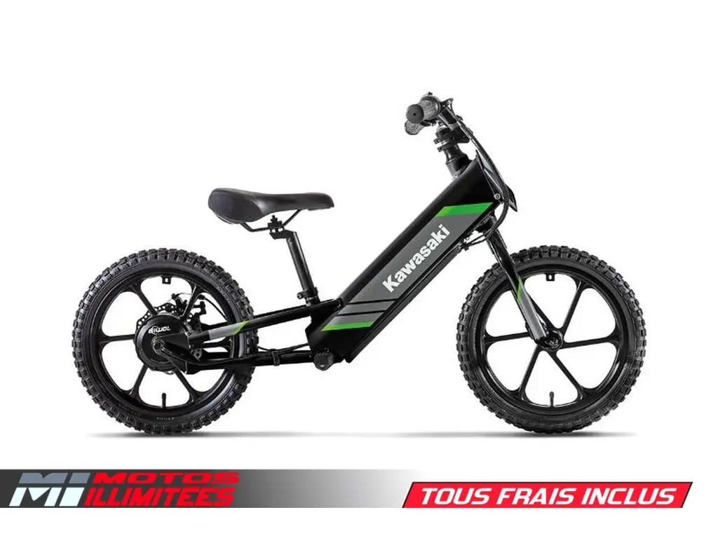 2025 Kawasaki ELEKTRODE 16