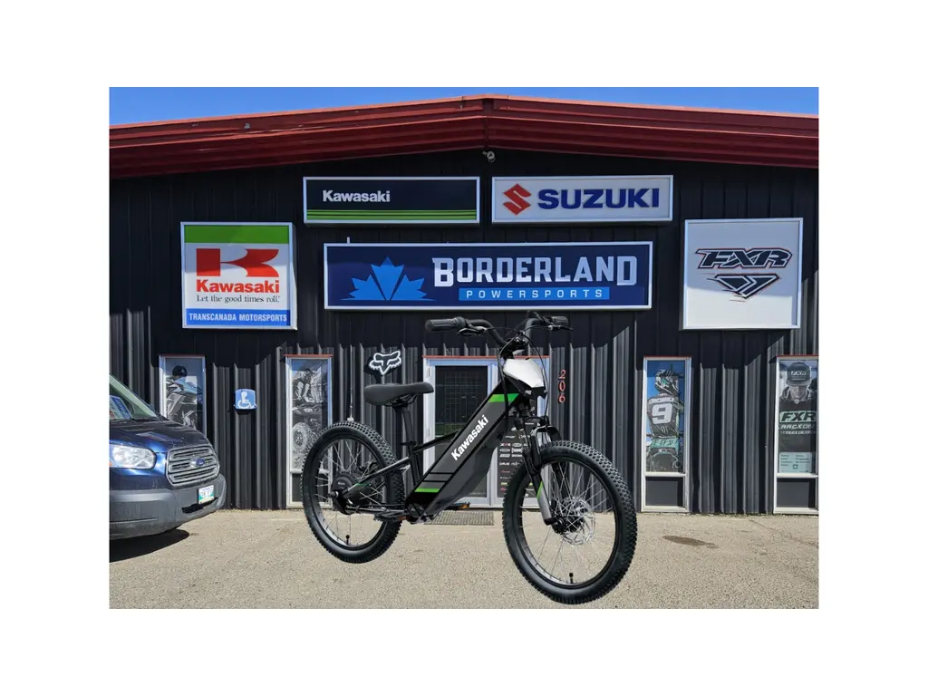2025 Kawasaki Elektrode 20-Black 