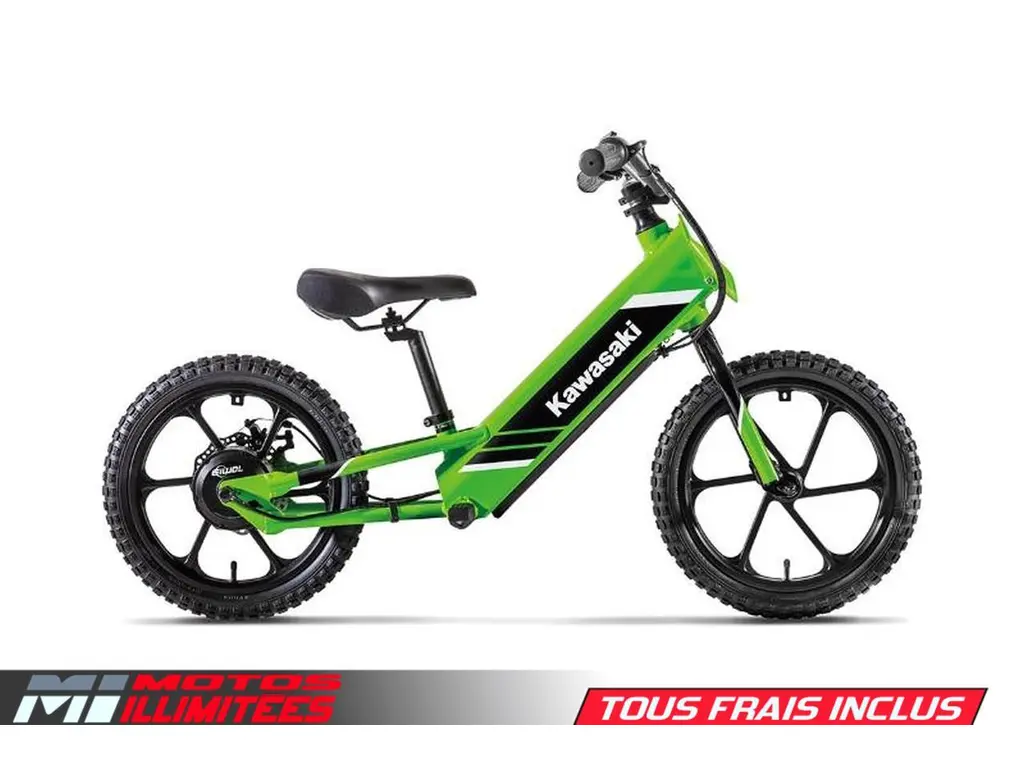 2025 Kawasaki ELEKTRODE 16 