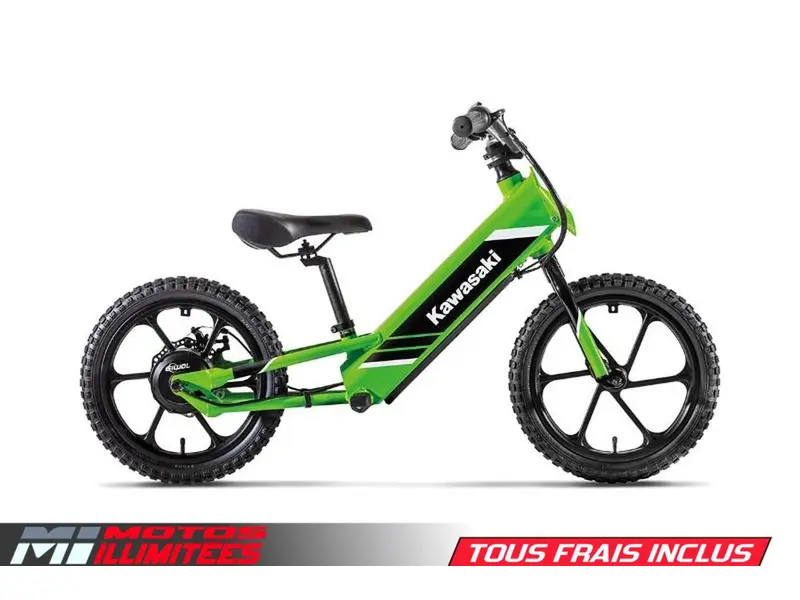 2025 Kawasaki ELEKTRODE 16