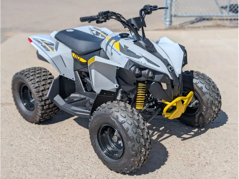2025 Can-Am Renegade 110 EFI