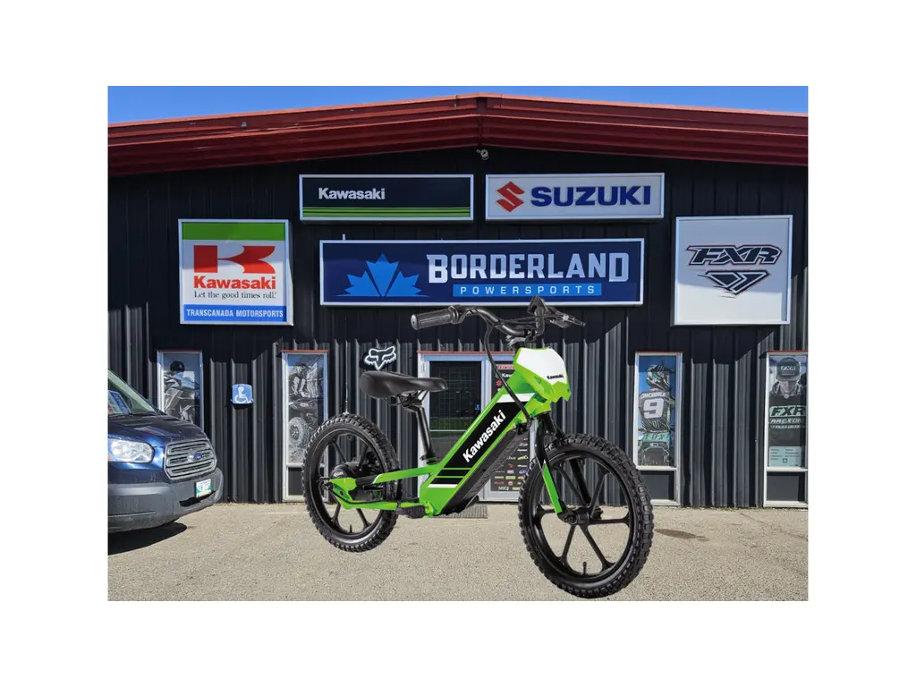 2025 Kawasaki Elektrode 16-Lime Green 