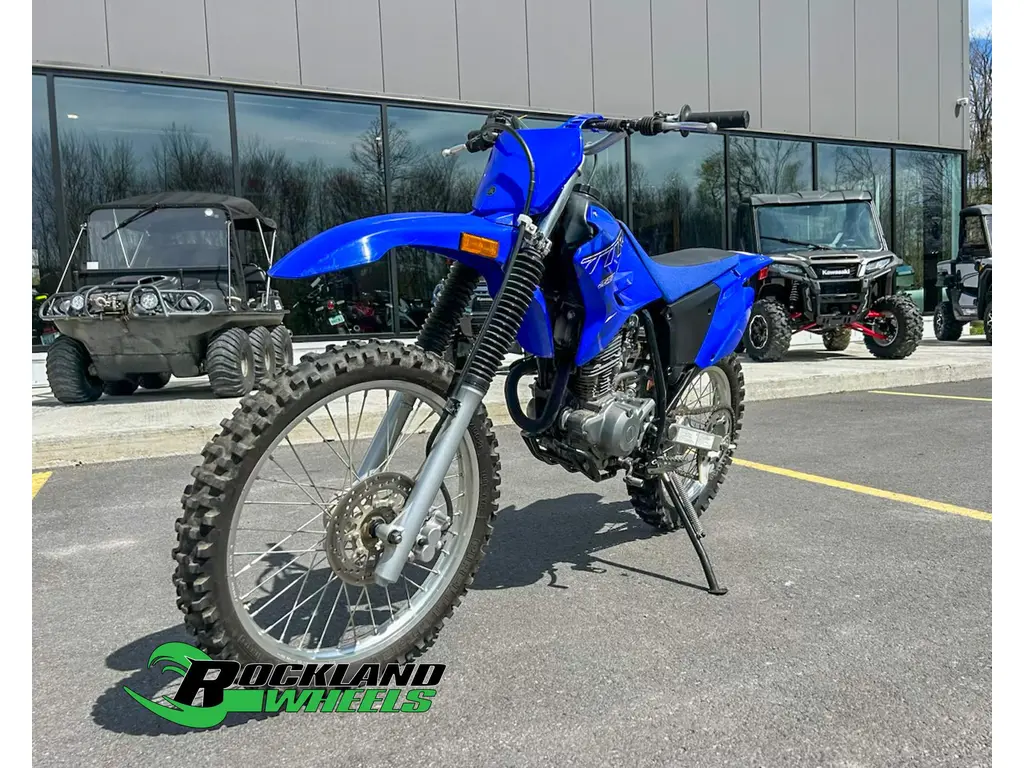 2021 Yamaha TTR 230