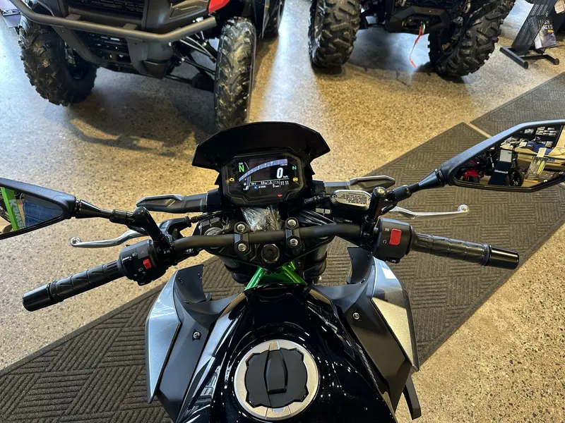 2025 Kawasaki Z 500 SE