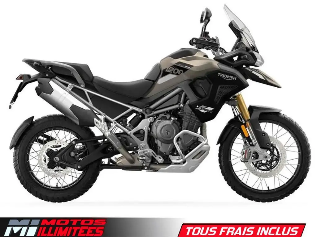 2024 Triumph TIGER 1200 RALLY PRO 