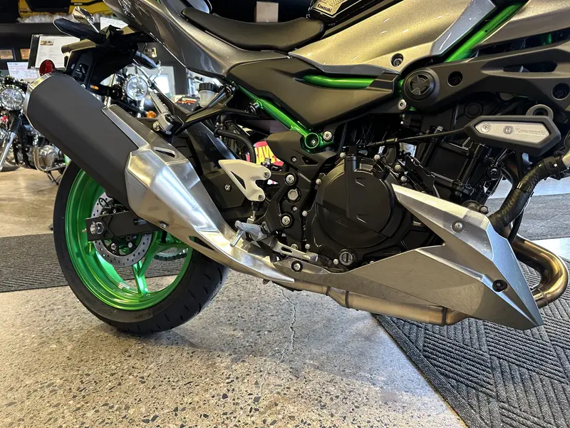 2025 Kawasaki Z 500 SE
