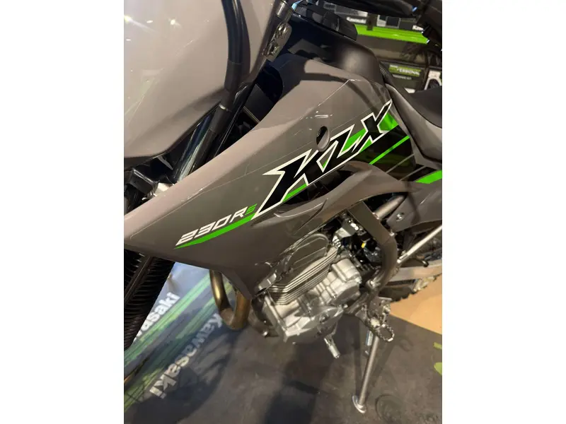 2025 Kawasaki KLX® 230R S thumbnail 4