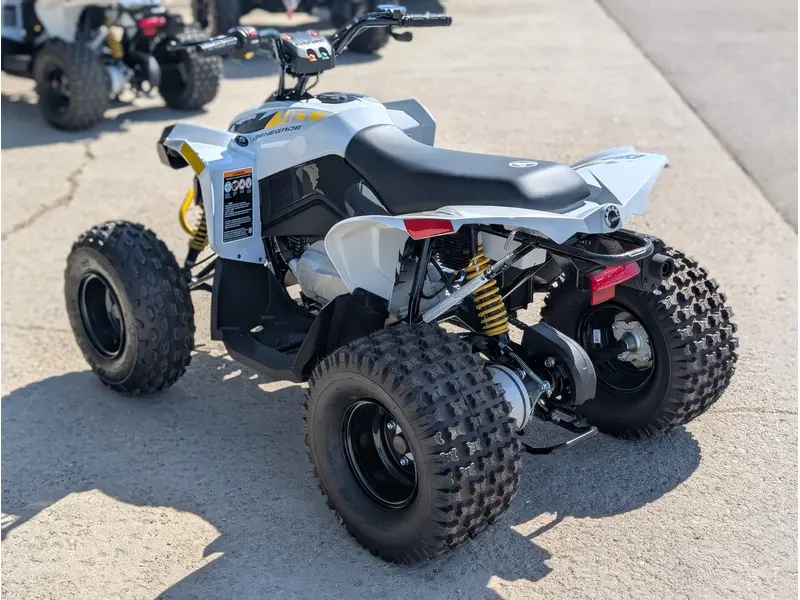 2025 Can-Am Renegade 110 EFI