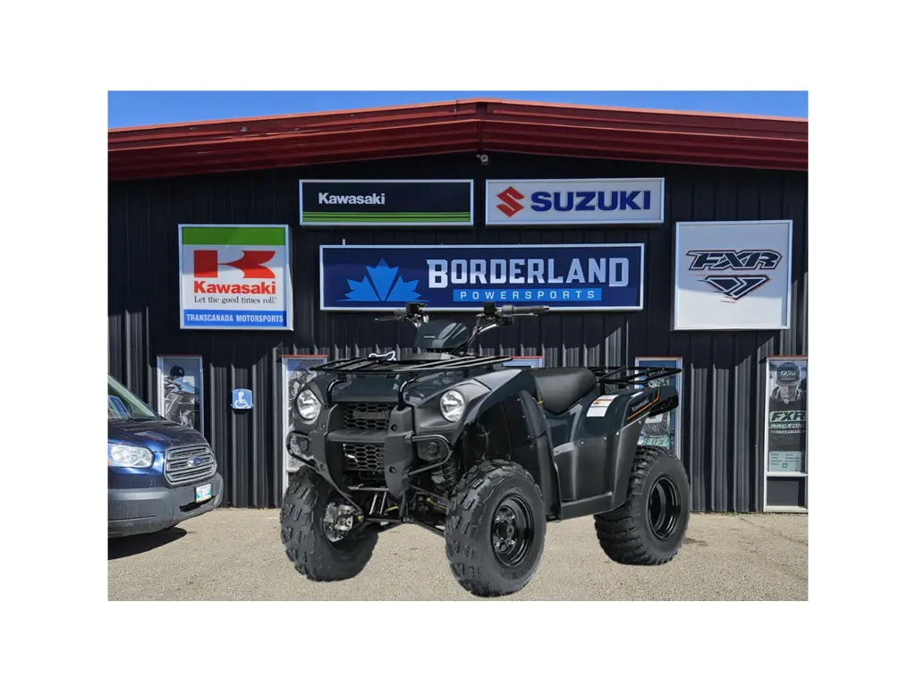 2025 Kawasaki Brute Force® 300-Grayish Blue 